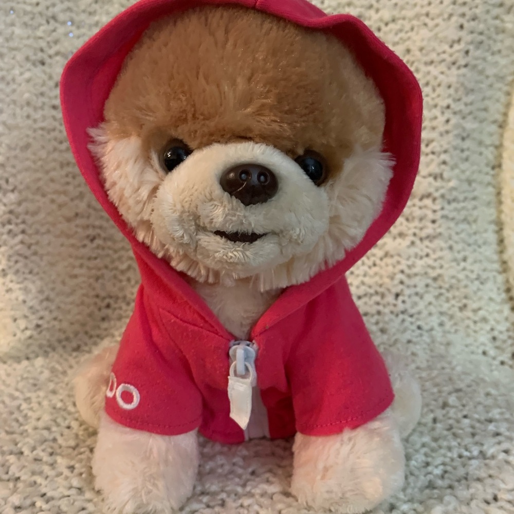 Gund dog BOO, the world’s cutest dog.